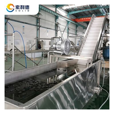 Τοποθεσία κάλυψης 24X6X6M 2T/H Cold Press Extra Virgin Avocado Oil Production Line CPAO-2000