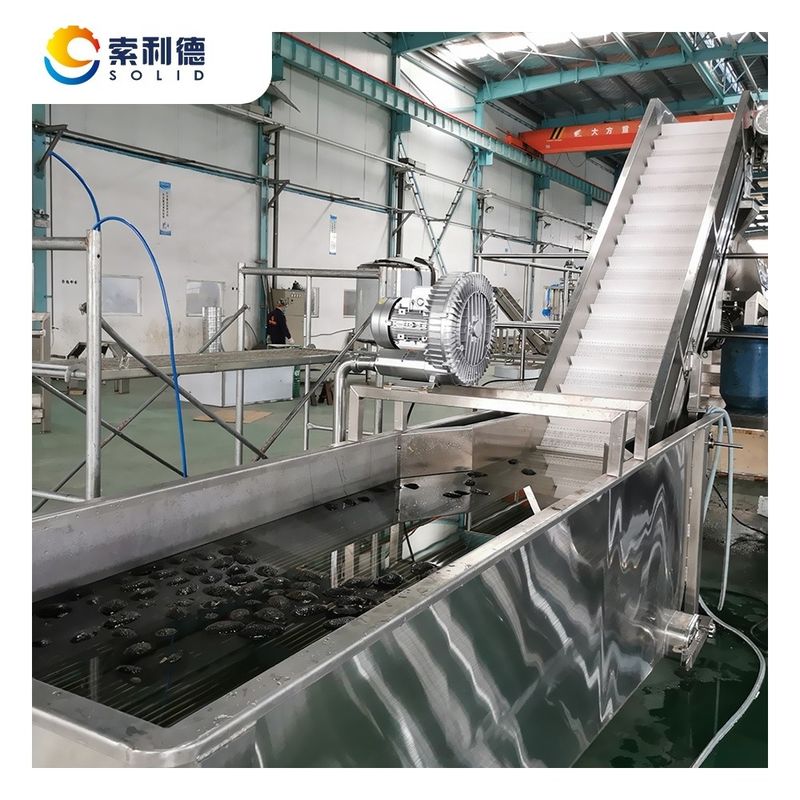 Τοποθεσία κάλυψης 24X6X6M 2T/H Cold Press Extra Virgin Avocado Oil Production Line CPAO-2000