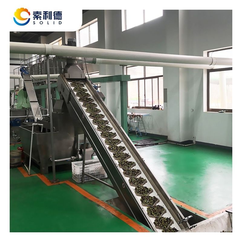 Μακροχρόνια διάρκεια ζωής EVOO-3500 3500KG/H Extra Virgin Olive Oil Mill με μηχανή ψυχρής πίεσης